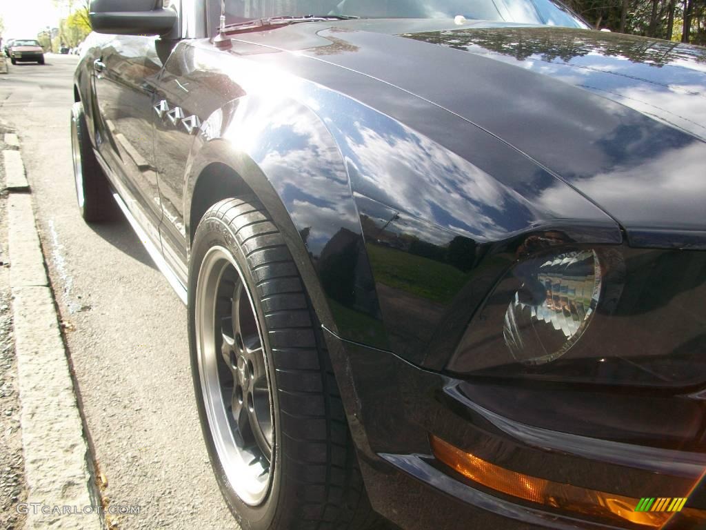 2006 Mustang V6 Premium Coupe - Black / Red/Dark Charcoal photo #24