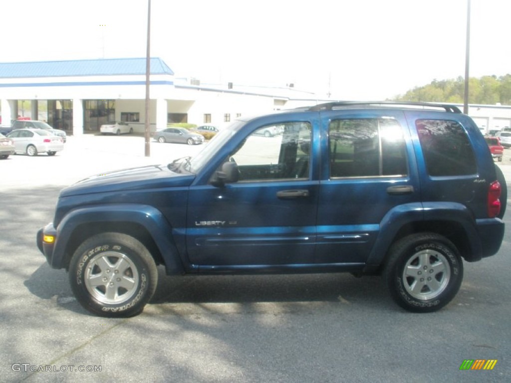 2002 Liberty Limited 4x4 - Patriot Blue Pearlcoat / Dark Slate Gray photo #12