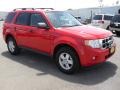 2009 Torch Red Ford Escape XLT V6  photo #6