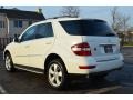 Arctic White - ML 350 4Matic Photo No. 5