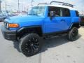 Voodoo Blue - FJ Cruiser 4WD Photo No. 3