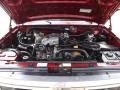 4.9 Liter OHV 12-Valve Inline 6 Cylinder 1995 Ford F150 XLT Extended Cab 4x4 Engine