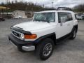 Iceberg White - FJ Cruiser 4WD Photo No. 2