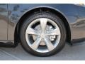 Graphite Luster Metallic - TL  Photo No. 26