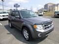 Sterling Grey Metallic 2009 Ford Escape XLT V6