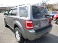 Sterling Grey Metallic - Escape XLT V6 Photo No. 4