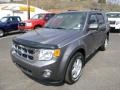 Sterling Grey Metallic - Escape XLT V6 Photo No. 5
