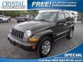 Dark Khaki Pearl 2005 Jeep Liberty Limited