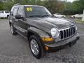 2005 Dark Khaki Pearl Jeep Liberty Limited  photo #11