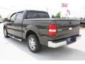 Dark Stone Metallic - F150 XLT SuperCrew Photo No. 6