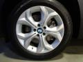 Titanium Silver Metallic - X5 xDrive50i Photo No. 11