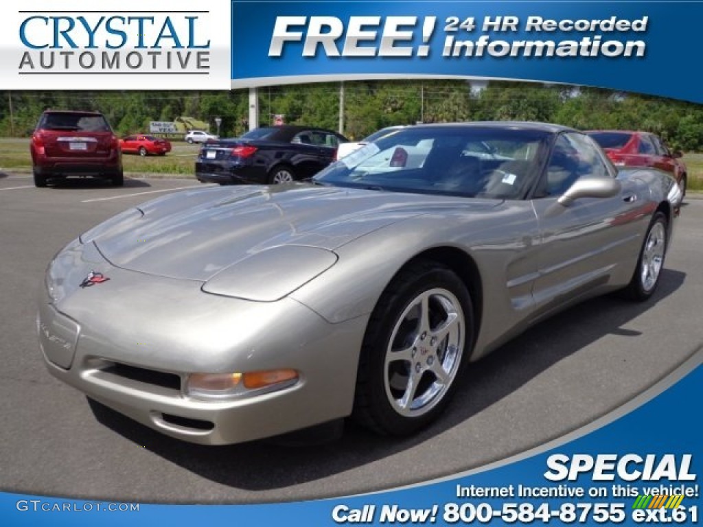 1999 Corvette Coupe - Light Pewter Metallic / Black photo #1