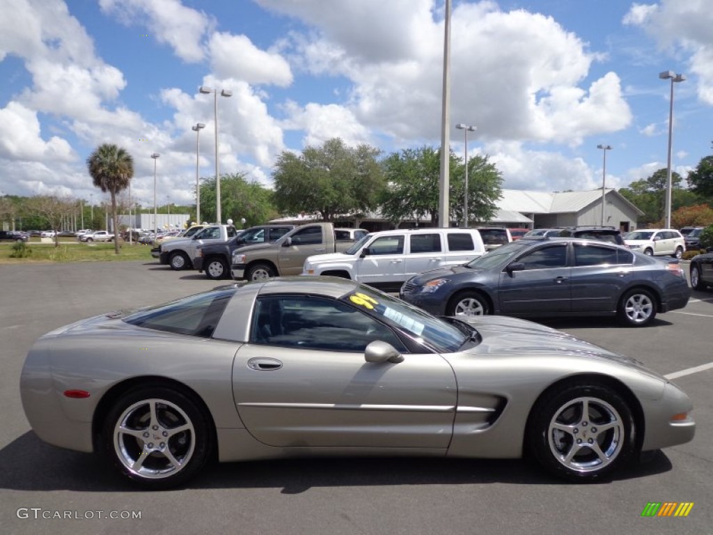 1999 Corvette Coupe - Light Pewter Metallic / Black photo #8