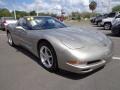 1999 Light Pewter Metallic Chevrolet Corvette Coupe  photo #9