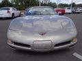 1999 Light Pewter Metallic Chevrolet Corvette Coupe  photo #12