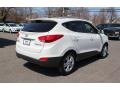 2010 Cotton White Hyundai Tucson GLS  photo #5