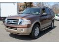 Golden Bronze Metallic 2012 Ford Expedition XLT 4x4