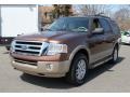 2012 Golden Bronze Metallic Ford Expedition XLT 4x4  photo #1