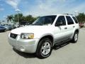 Oxford White - Escape XLT V6 Photo No. 14