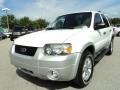 Oxford White - Escape XLT V6 Photo No. 15