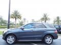 Steel Grey Metallic - ML 350 4Matic Photo No. 2