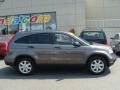 2009 Urban Titanium Metallic Honda CR-V EX 4WD  photo #3