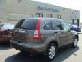 2009 Urban Titanium Metallic Honda CR-V EX 4WD  photo #4