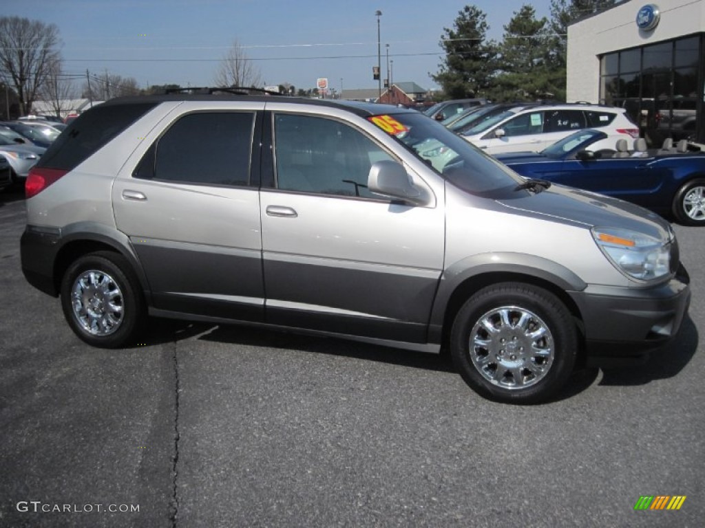 Platinum Metallic 2005 Buick Rendezvous CXL AWD Exterior Photo #79579702