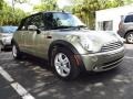 Sparkling Silver Metallic - Cooper Convertible Photo No. 4