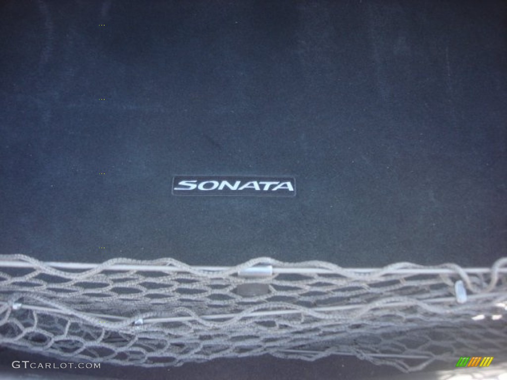 2011 Sonata Limited - Venetian Red / Camel photo #16