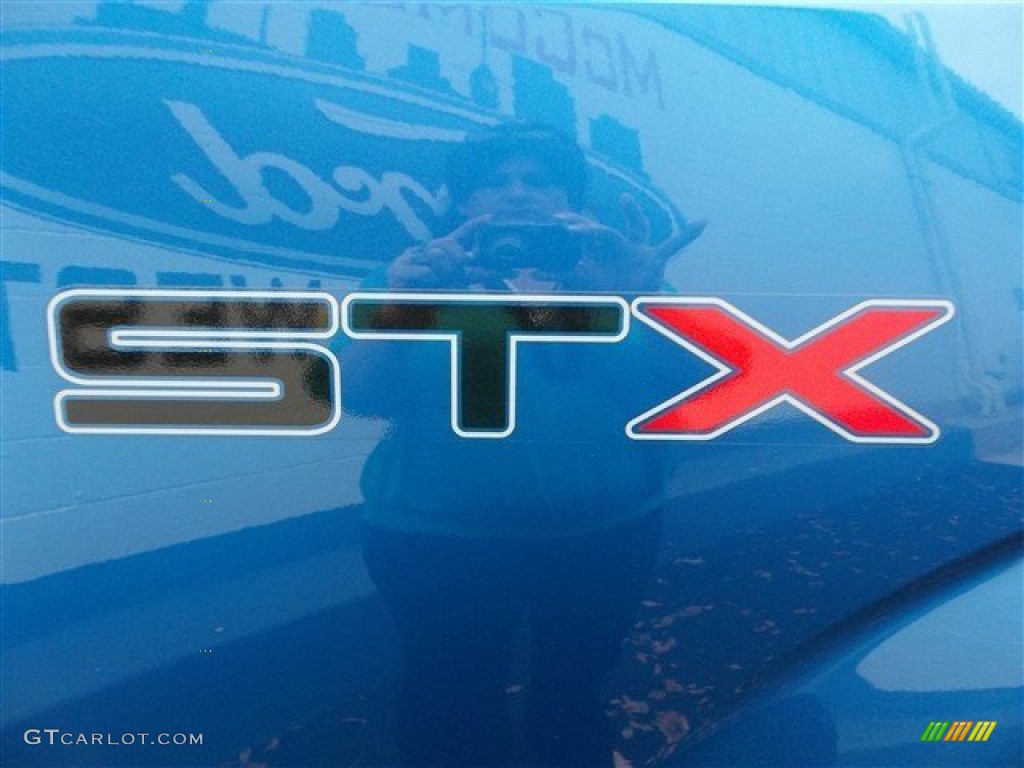 2013 F150 STX Regular Cab - Blue Flame Metallic / Steel Gray photo #8