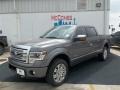 2013 Sterling Gray Metallic Ford F150 Platinum SuperCrew 4x4  photo #2