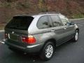 Sterling Grey Metallic - X5 3.0i Photo No. 11