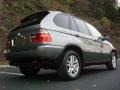 2004 Sterling Grey Metallic BMW X5 3.0i  photo #15