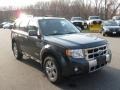 Black Pearl Slate Metallic 2008 Ford Escape Limited 4WD