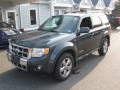 Black Pearl Slate Metallic - Escape Limited 4WD Photo No. 3