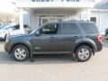 Black Pearl Slate Metallic - Escape Limited 4WD Photo No. 4