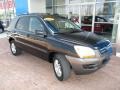 Black Cherry Metallic - Sportage LX V6 4x4 Photo No. 12
