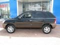 Black Cherry Metallic - Sportage LX V6 4x4 Photo No. 13