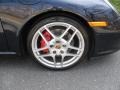 2009 Porsche 911 Targa 4S Wheel and Tire Photo