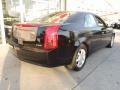 Sable Black - CTS Sedan Photo No. 5