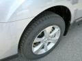 Ice Silver Metallic - Outback 3.6R Limited Photo No. 9