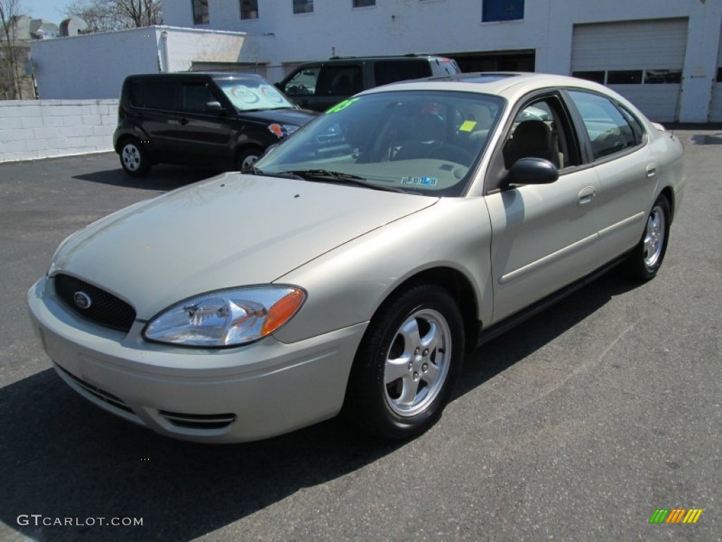 Gold Ash Metallic 2005 Ford Taurus SE Exterior Photo #79619190