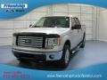 2010 Ingot Silver Metallic Ford F150 XLT SuperCrew 4x4  photo #2