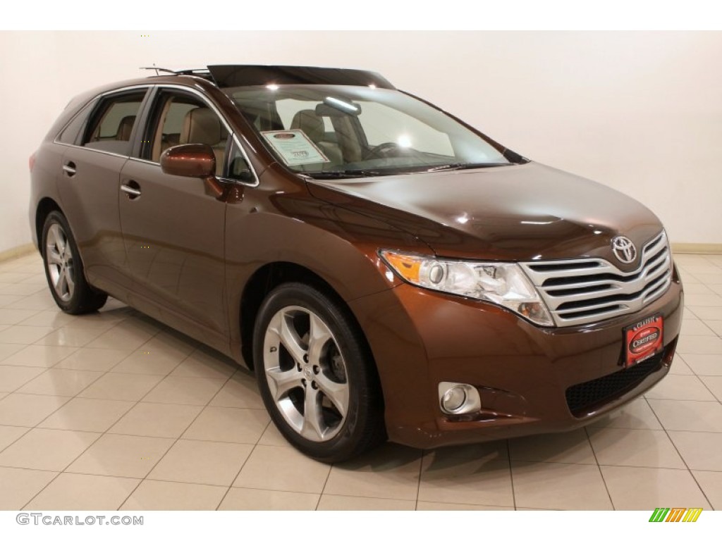 2010 Venza V6 AWD - Sunset Bronze Mica / Ivory photo #1