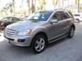 Pewter Metallic - ML 350 4Matic Photo No. 5
