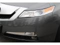 2010 Polished Metal Metallic Acura TL 3.5  photo #30