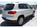 White Gold Metallic - Tiguan SE Photo No. 8