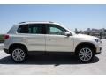 White Gold Metallic - Tiguan SE Photo No. 9