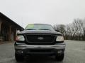 2001 Dark Highland Green Metallic Ford F150 XLT SuperCrew 4x4  photo #3